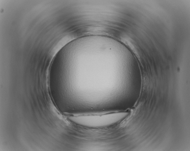 X0000089361386200707061038