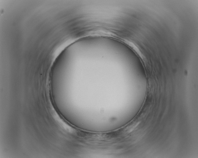 X0000089361387200707061038