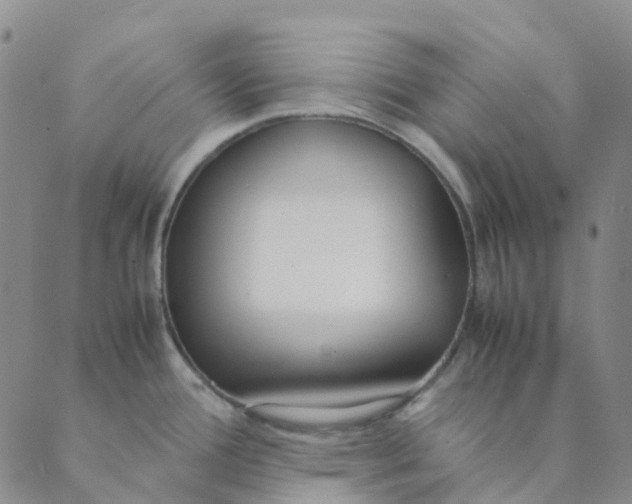 X0000089361388200707061038