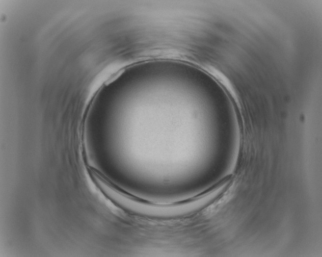 X0000089361389200707061038