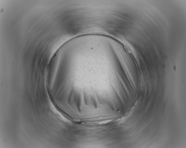 X0000089361390200707061038