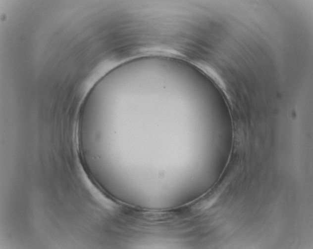 X0000089361391200707061038