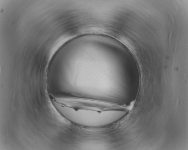 X0000089361392200707061038