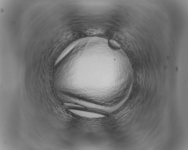 X0000089361393200707061038