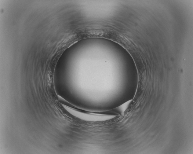 X0000089361394200707061038