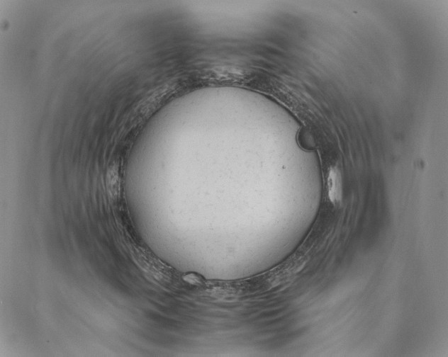 X0000089361395200707061038