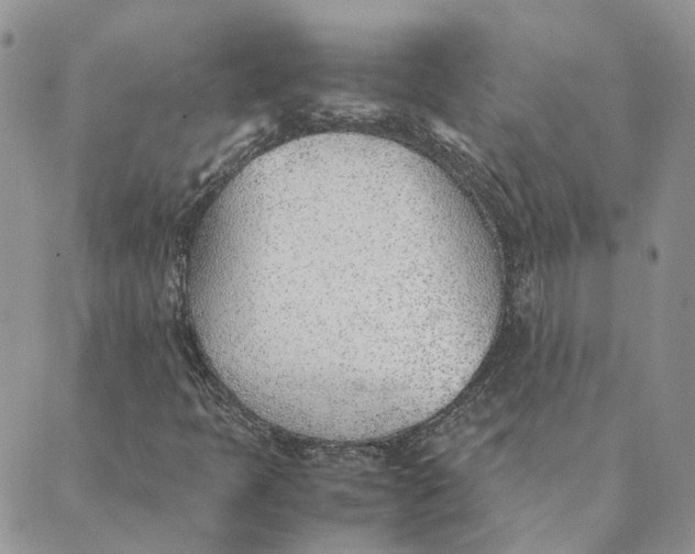 X0000089361397200707061038