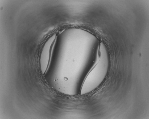 X0000089361398200707061038