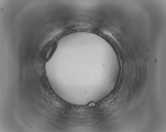 X0000089361399200707061038