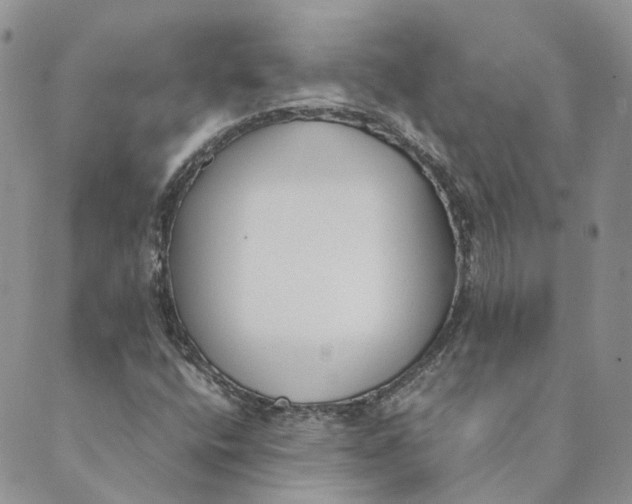 X0000089361400200707061038