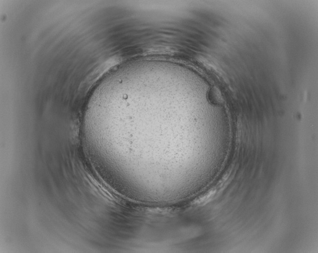 X0000089361401200707061038