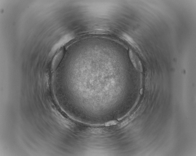 X0000089361402200707061038