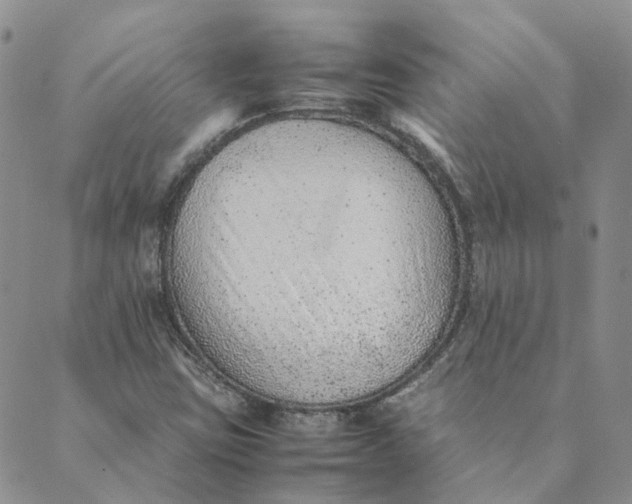 X0000089361403200707061038