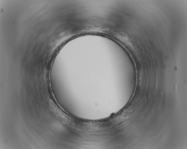 X0000089361404200707061038