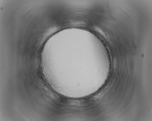 X0000089361405200707061038