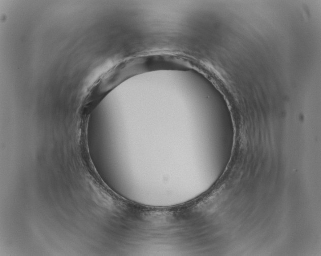 X0000089361406200707061038