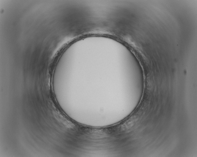 X0000089361408200707061038