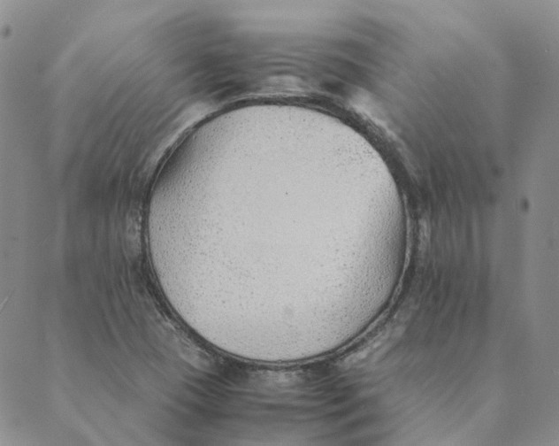 X0000089361409200707061038