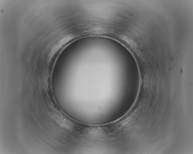 X0000089361410200707061038