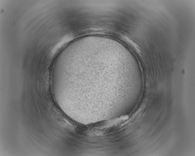 X0000089361411200707061038