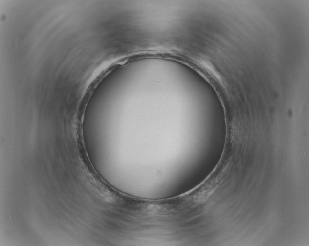 X0000089361412200707061038