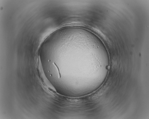 X0000089361413200707061038