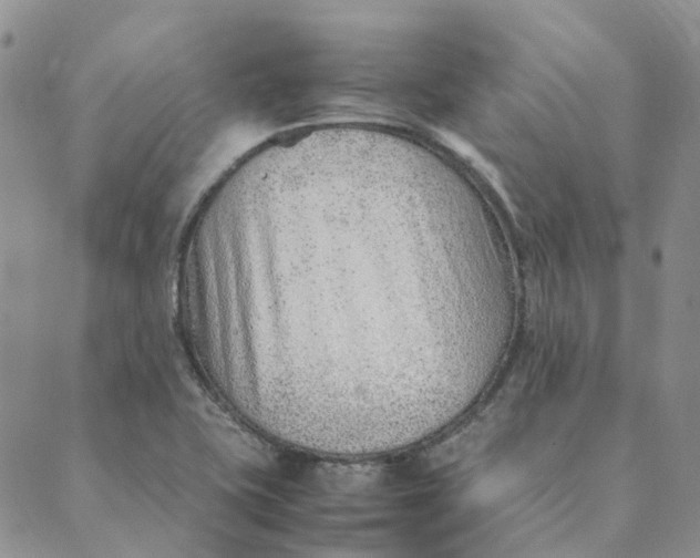 X0000089361415200707061038