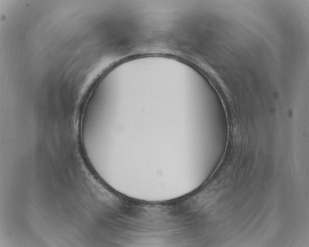 X0000089361416200707061038