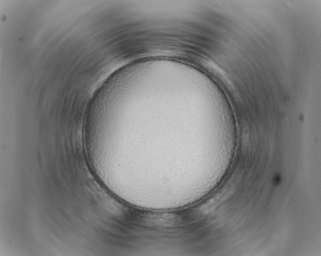 X0000089361417200707061038