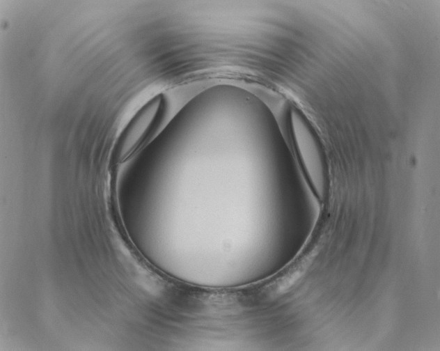 X0000089361418200707061038