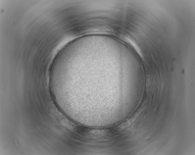 X0000089361419200707061038