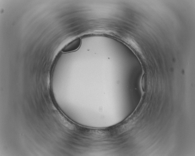 X0000089361420200707061038