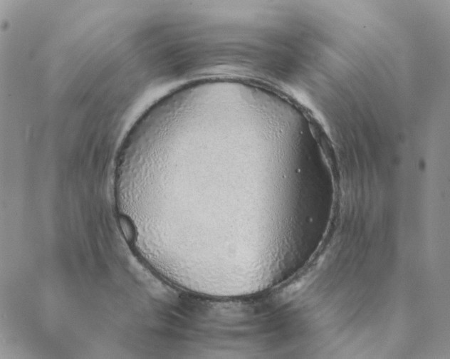 X0000089361421200707061038