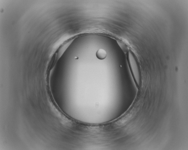 X0000089361422200707061038