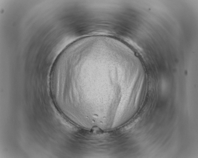 X0000089361423200707061038