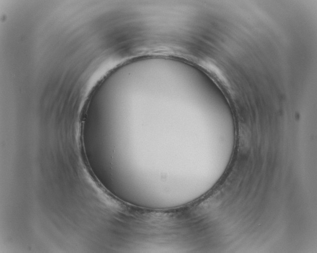 X0000089361424200707061038