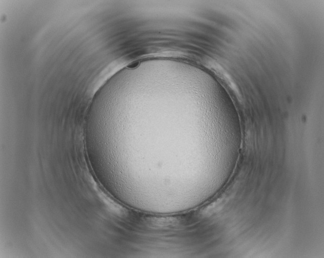 X0000089361425200707061038