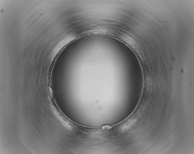 X0000089361426200707061038