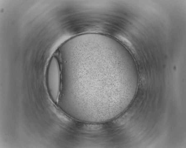 X0000089361427200707061038