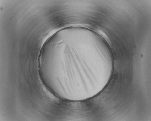 X0000089361428200707061038