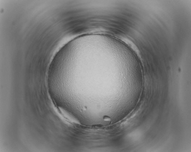 X0000089361429200707061038