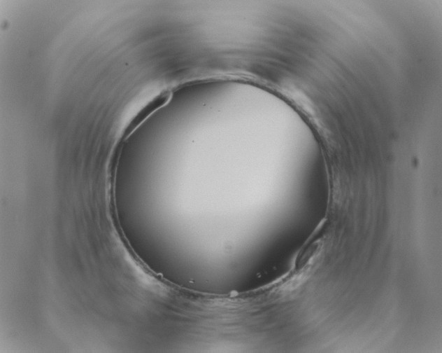 X0000089361430200707061038