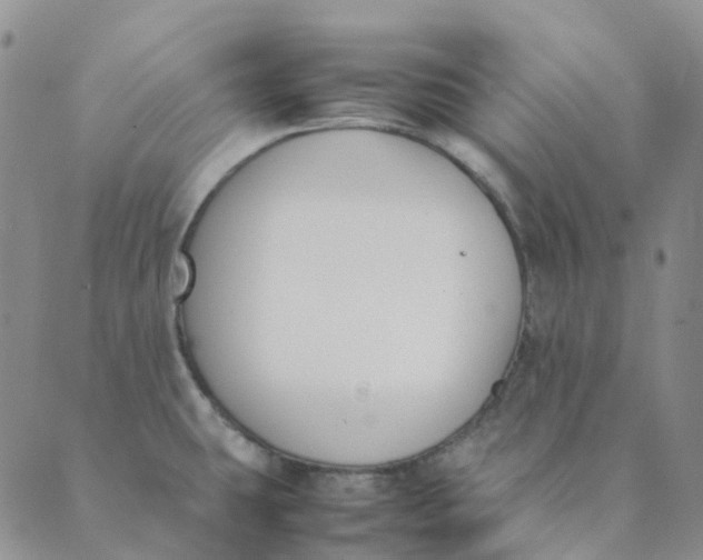 X0000089361431200707061038