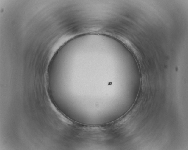 X0000089361432200707061038