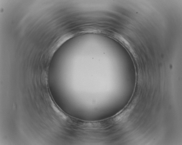 X0000089361433200707061038