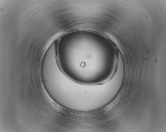 X0000089361434200707061038