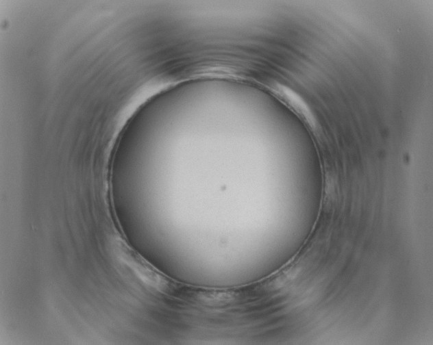 X0000089361435200707061038