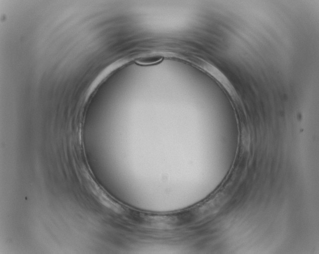 X0000089361436200707061038