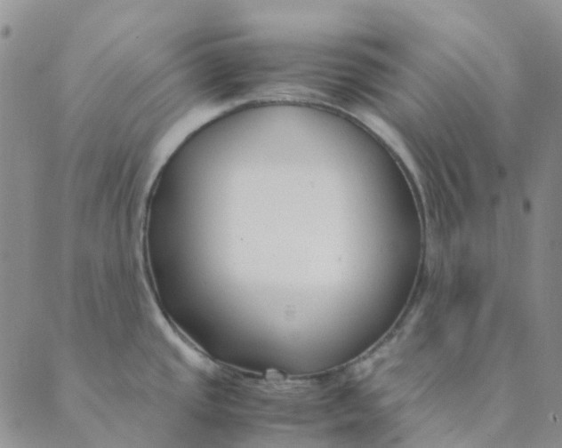 X0000089361437200707061038