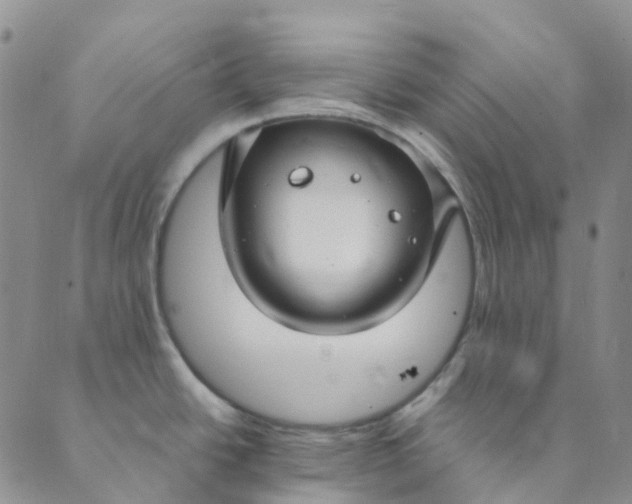 X0000089361438200707061038